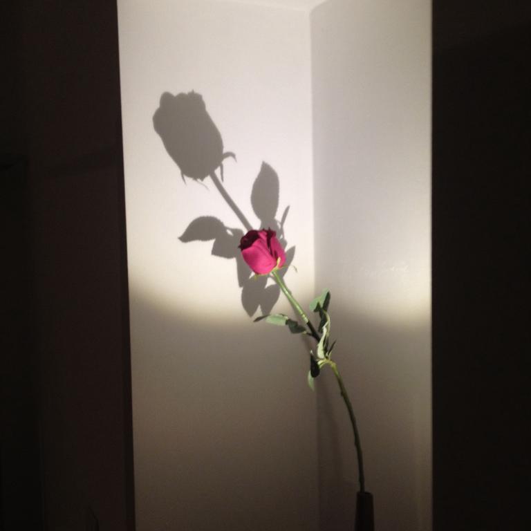 Apartment 23 Trieste